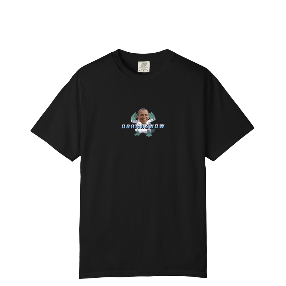 Obamasnow