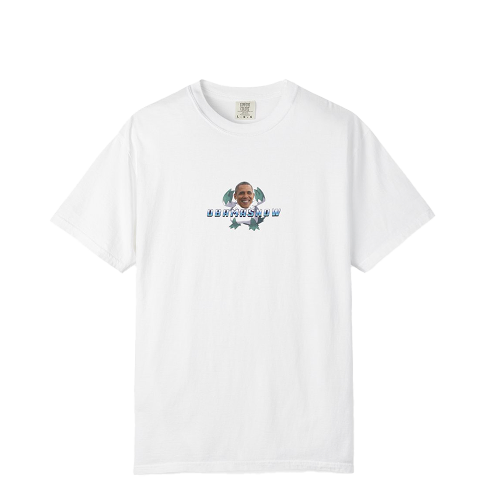 Obamasnow