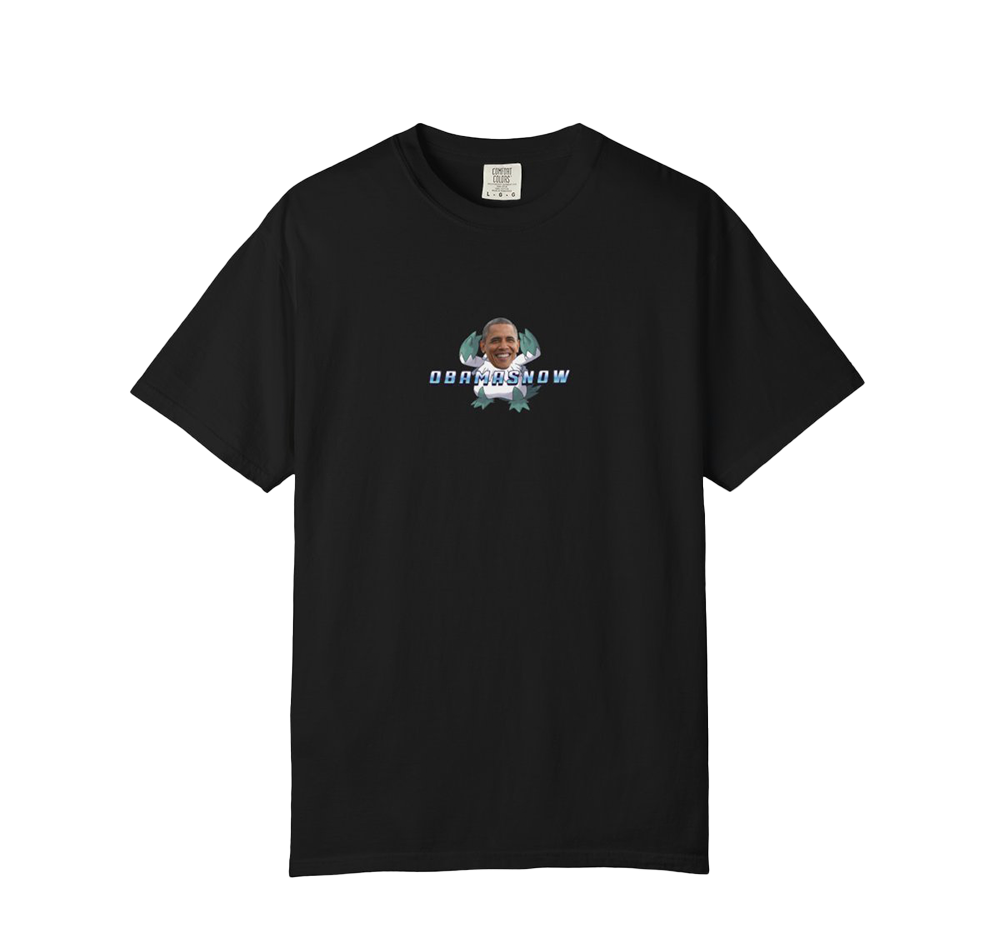 Obamasnow
