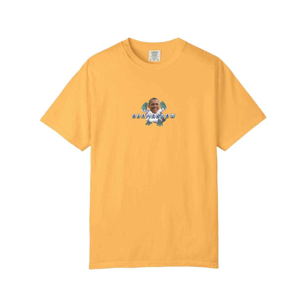 Obamasnow