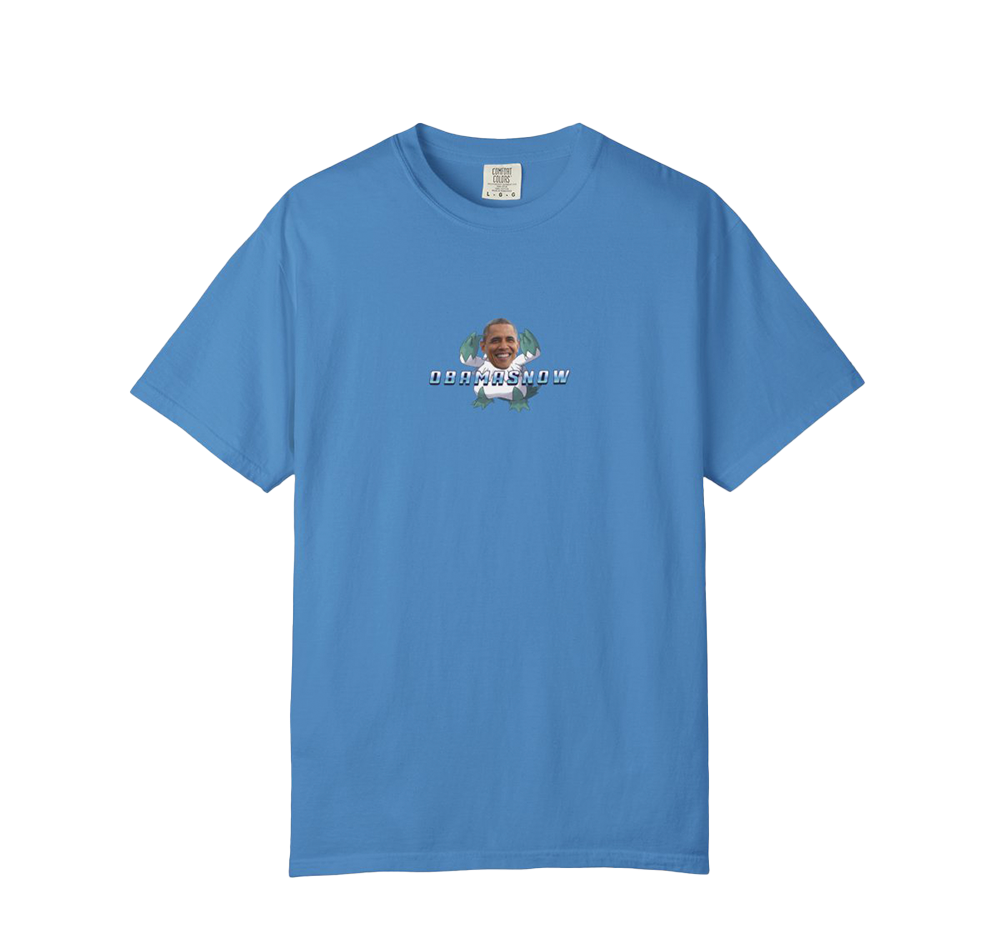 Obamasnow