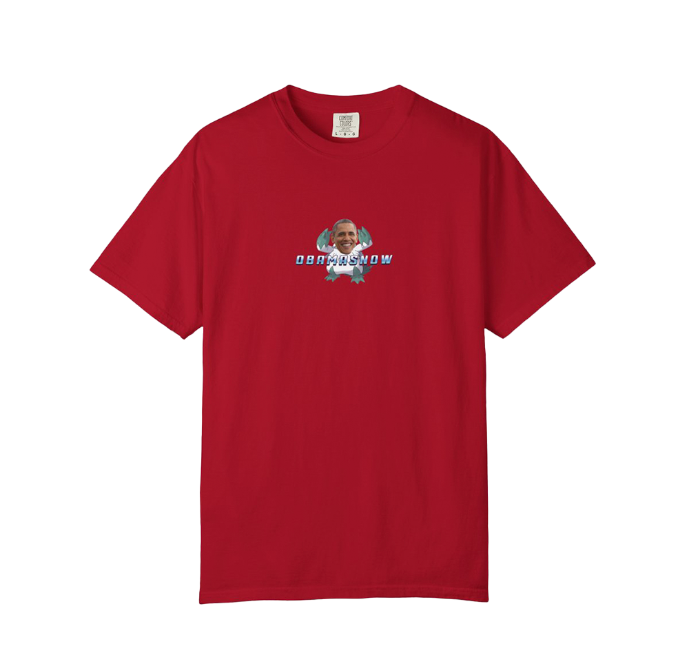 Obamasnow