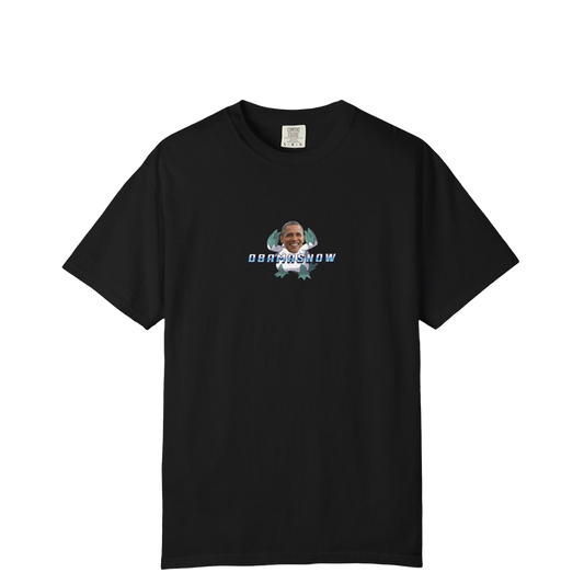 Obamasnow
