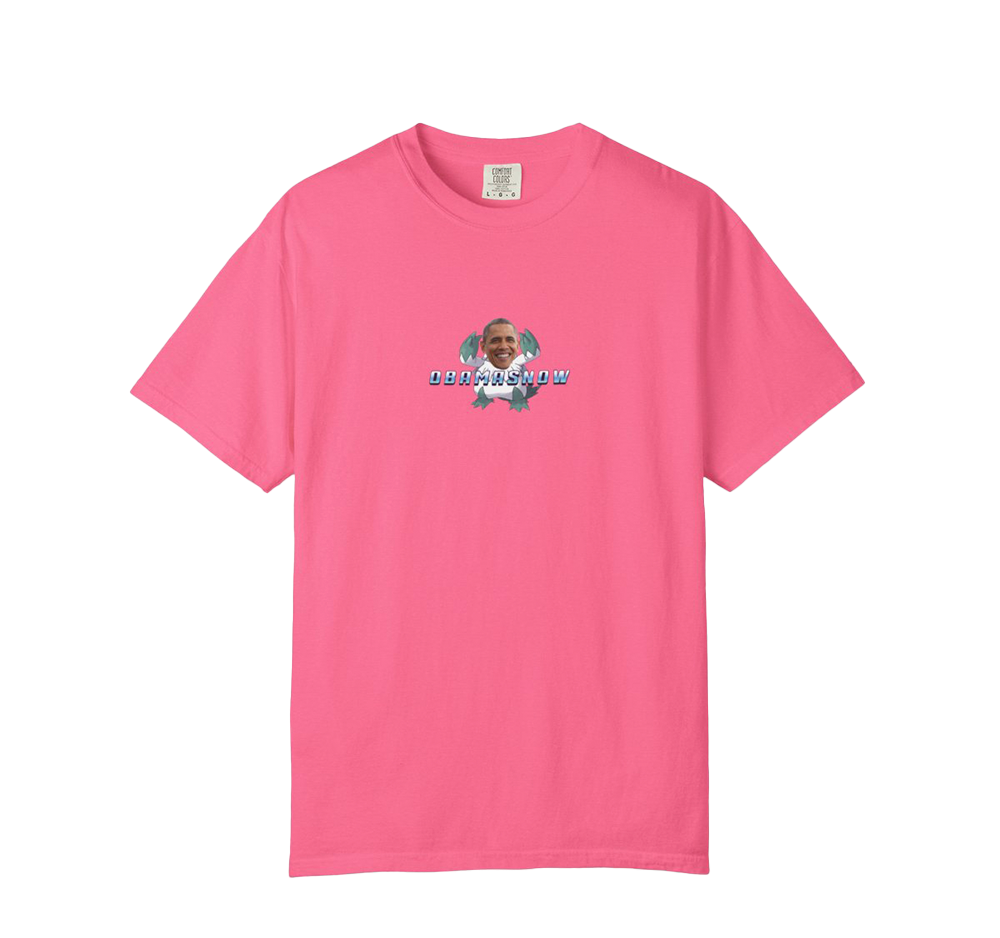 Obamasnow